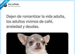 Enlace a La vida adulta: café, deudas y fingir que lo tengo controlado, por @ymuchosmemes