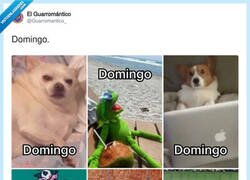 Enlace a Escoge tu domingo, por @Guarromantico_