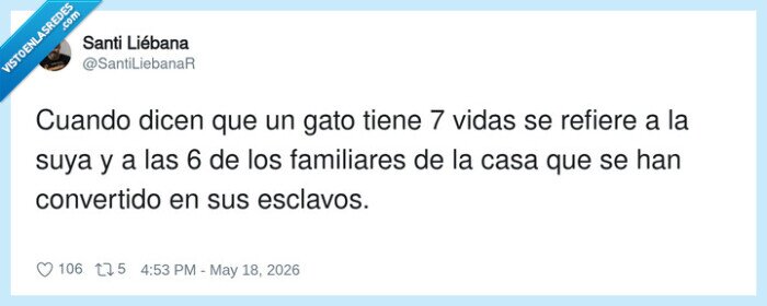 gato,7vidas,familiares,esclavos