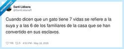 Enlace a El gato siendo literalmente el dueño de la casa mientras nosotros pagamos la hipoteca, por @SantiLiebanaR