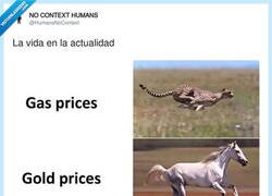 Enlace a Todo va en modo Fórmula 1 menos mi nómina, que sigue cargando, por @HumansNoContext