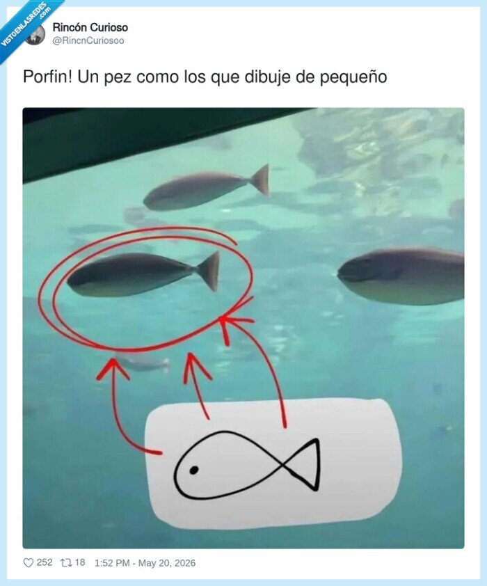 peces,acuarios,infancia,dibujo,nostalgia