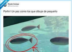 Enlace a Mi yo de 7 años: “lo clavé, era así tal cual”, por @RincnCuriosoo