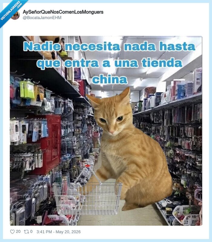 tiendachina,compras,gato,carrito,tentaciones