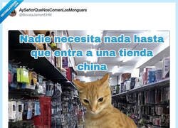Enlace a Yo entrando a la tienda china a por “una cosa rápida” y saliendo con un carrito entero, por @BocataJamonEHM