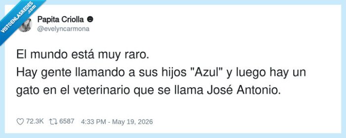 nombres,gato,veterinaria,Jos&eacute;Antonio,Azul
