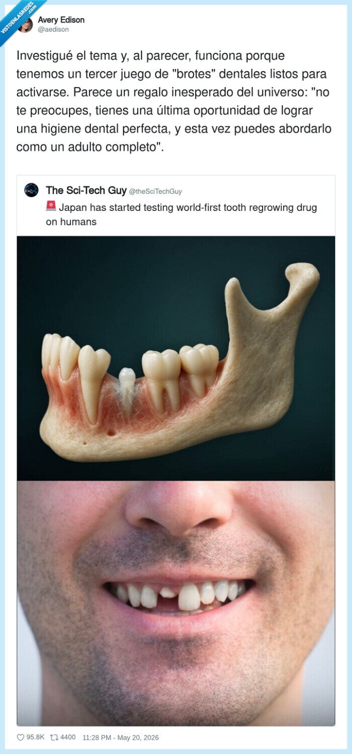 dientes,jap&oacute;n,medicina,higiene,adultos
