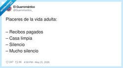 Enlace a Ser adulto es pagar recibos para poder disfrutar del sonido de nada, por @Guarromantico_