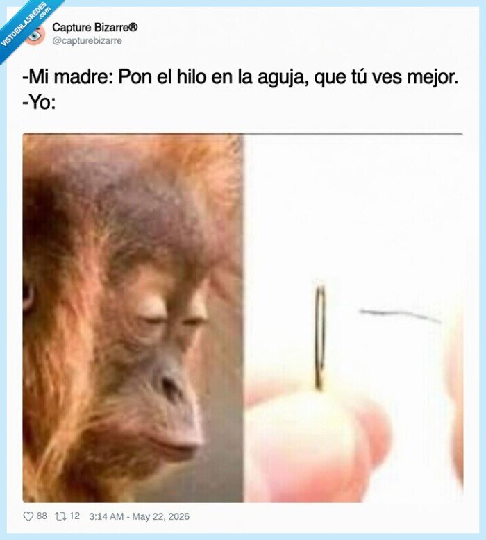 madres,costura,aguja,hilo,vista