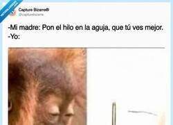 Enlace a Sí mamá, veo de lujo… lo que pasa es que la aguja no colabora, por @capturebizarre