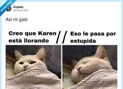Enlace a Típico de gatos, por @marq31995