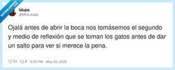 Enlace a Es lo único que se lo piensan más que bien, por @MrsLalupa