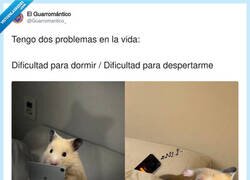 Enlace a Por la noche: productividad. Por la mañana: modo cadáver, por @Guarromantico_