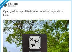Enlace a No ponerse triste, por @LosterSaito