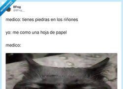 Enlace a Papel gana a piedra, por @BFrog__