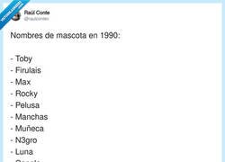 Enlace a Vaya, resulta que en 2026 todos los perros van a tener nombres de personajes de anime y criptomonedas, por @raulcontev