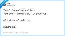 Enlace a Dios literalmente trolleando al español desde el primer día, por @Dios_0ficial