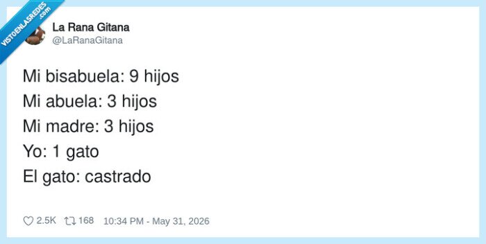 familia,generaciones,gatos,esterilizaci&oacute;n,natalidad