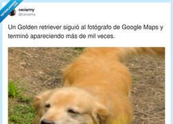 Enlace a Yo persiguiendo al de Google Maps para salir guapo en el Street View, por @ceciarmy