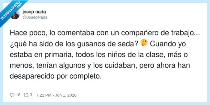 gusanos de seda,infancia,nostalgia,clase