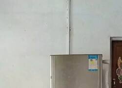 Enlace a Para un gato no existen los saltos imposibles