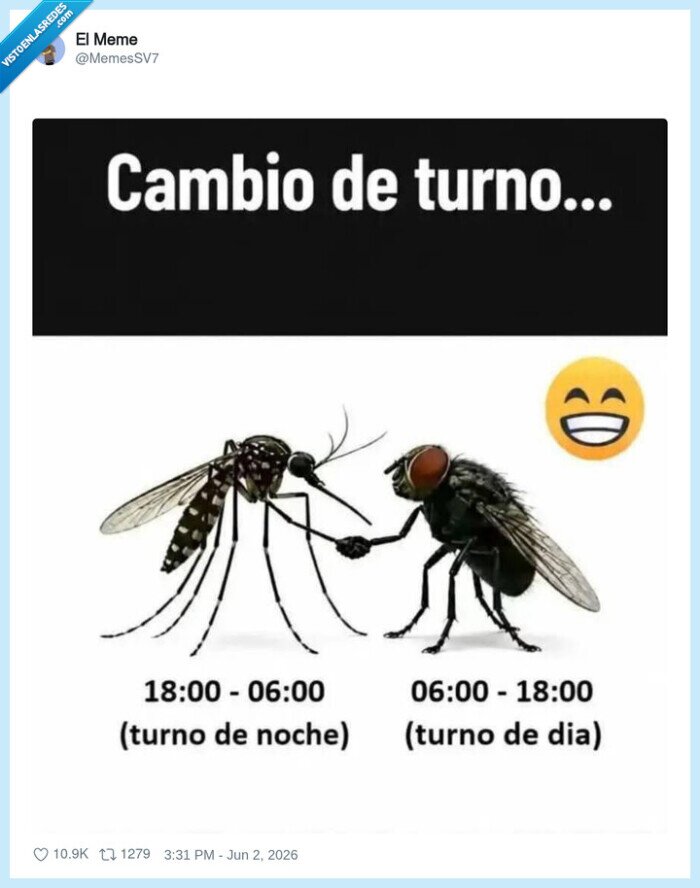 1733273 - Y luego te preguntas por qué te despiertas a las 5 de la mañana con ganas de cometer un crimen, por @MemesSV7