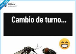 Enlace a Y luego te preguntas por qué te despiertas a las 5 de la mañana con ganas de cometer un crimen, por @MemesSV7