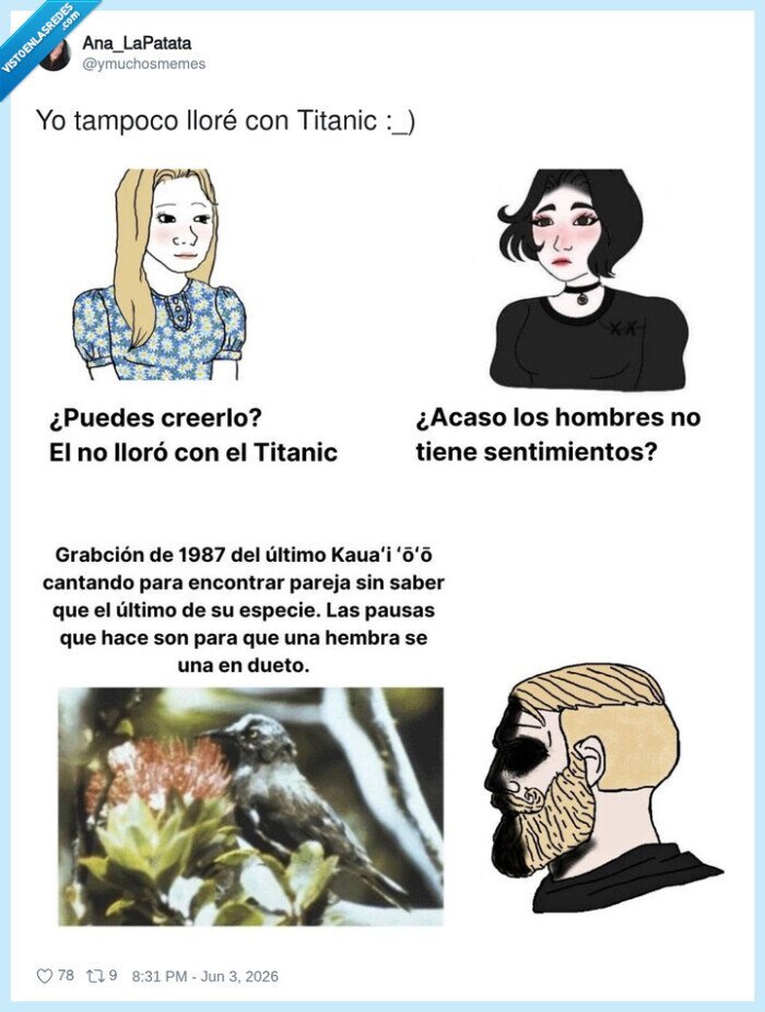 titanic,sentimientos,soledad,pareja,aves