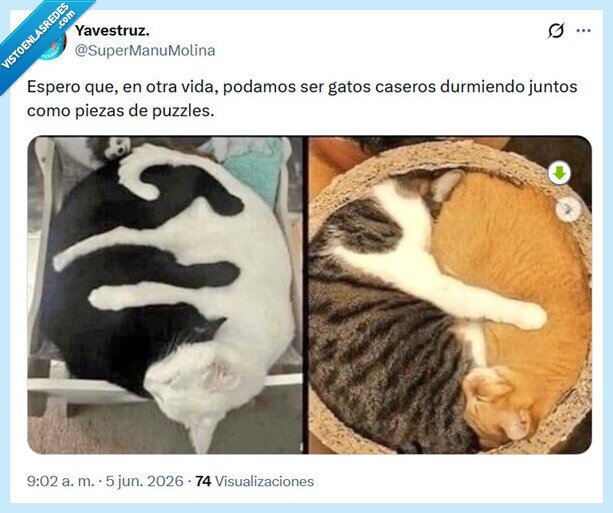1733937 - La dolce vita por @supermanumolina