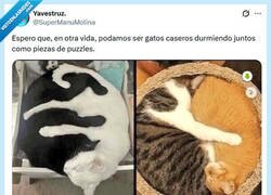 Enlace a La dolce vita por @supermanumolina