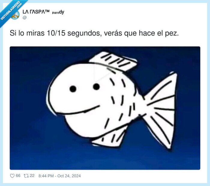 pez,nada,hacer