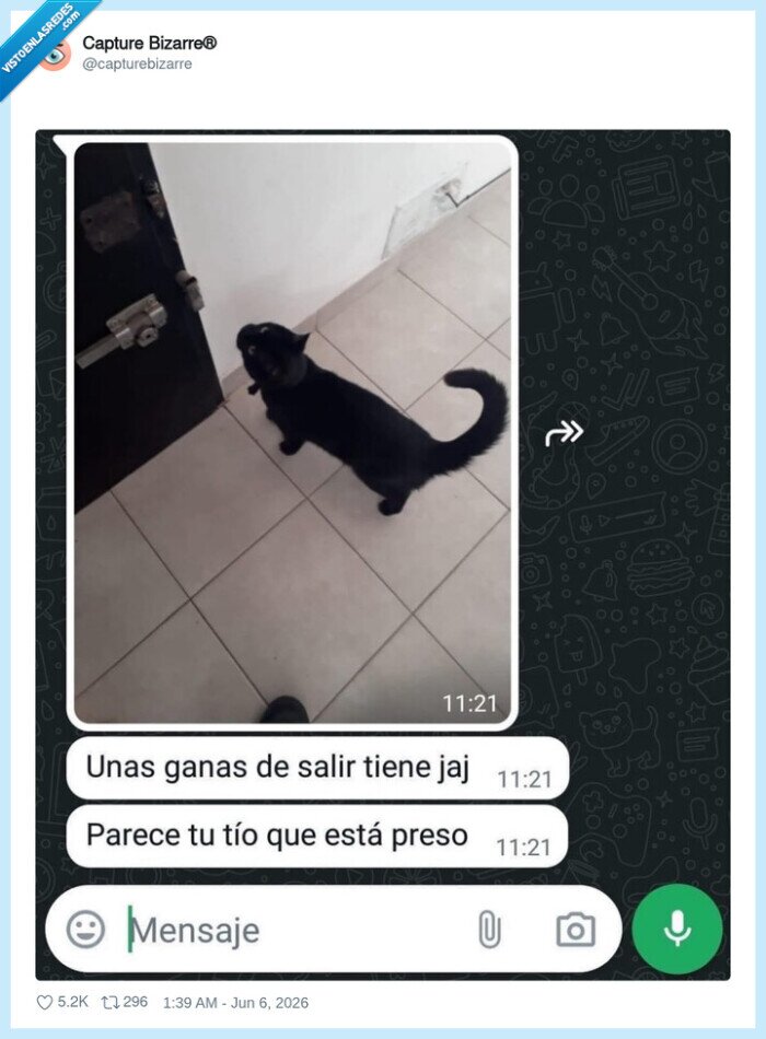 gato,puerta,carcel,deseo,comentario