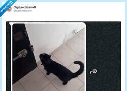 Enlace a Menuda familia, todos quieren escapar, por @capturebizarre