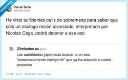 Enlace a Nicolas Cage divorciado interpretando a un oso psicólogo: la película que nadie pidió pero que Japón necesitaba, por @PeliDeTarde