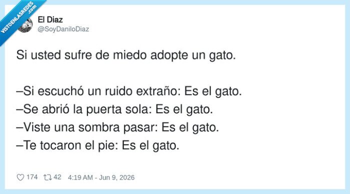 miedo,gato,adopci&oacute;n,sospechas,distracci&oacute;n