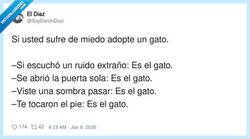 Enlace a El gato: la solución definitiva para que nunca vuelvas a tener miedo de nada, por @SoyDaniloDiaz
