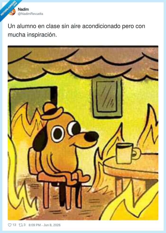 calor,clase,inspiracion,perro,fuego