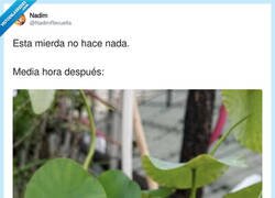 Enlace a Parece que sí te ha subido eh, por @NadimRevuelta