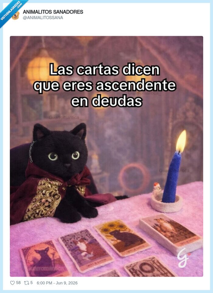 1734551 - Yo: 'vale, pues voy a ignorar esto y seguir comprando cosas', por @ANIMALITOSSANA