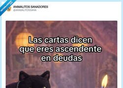 Enlace a Yo: 'vale, pues voy a ignorar esto y seguir comprando cosas', por @ANIMALITOSSANA