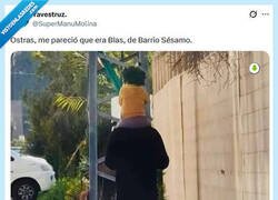 Enlace a ¿Y Epi? por @supermanumolina