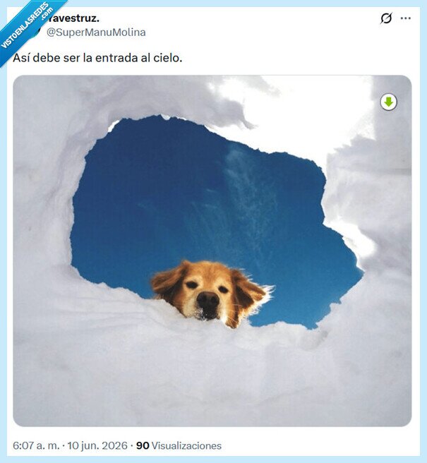 cielo,perro,entrada