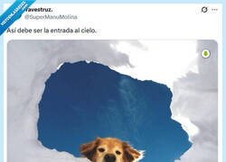 Enlace a Volvemos a vernos, viejo amigo por @supermanumolina