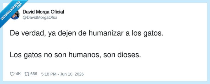 gatos,dioses,humanizar,comentario,tuit