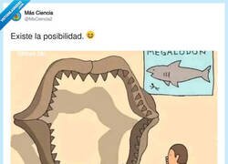 Enlace a Cuando la naturaleza decide que el culo también cuenta como defensa evolutiva, por @MsCiencia2