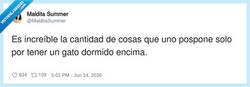 Enlace a Y luego se enfada cuando le mueves dos centímetros, por @MalditaSummer