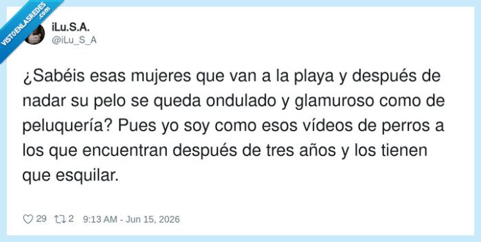 pelo,playa,perros,esquilar,glamuroso