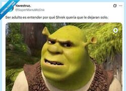 Enlace a 100% real por @supermanumolina