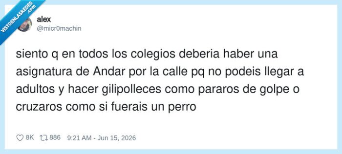 calle,escuela,conciencia,seguridad,comportamiento