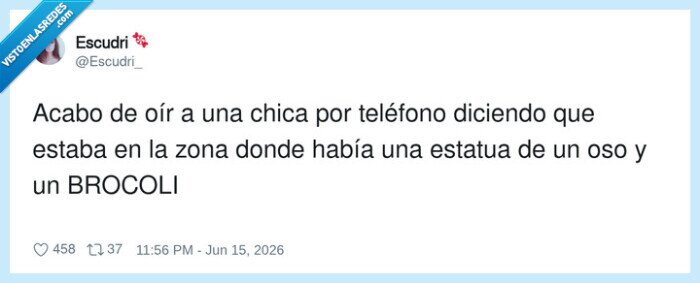 estatua,oso,br&oacute;coli,confusi&oacute;n,chica,madro&ntilde;o